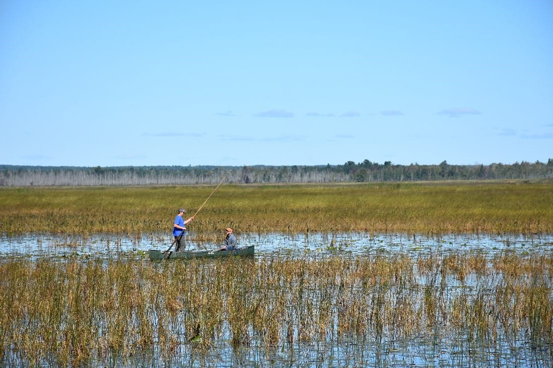 Mnomen Harvest & Restoration